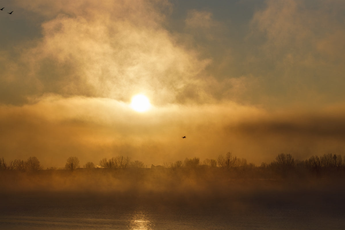 Golden Waters