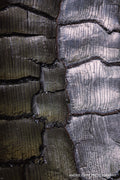 Deep cracks in silvered and blackened burnt wood