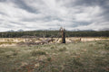 Fire Scarred VII - The Range Beyond, burnt timber with the Front Range behind, Colorado