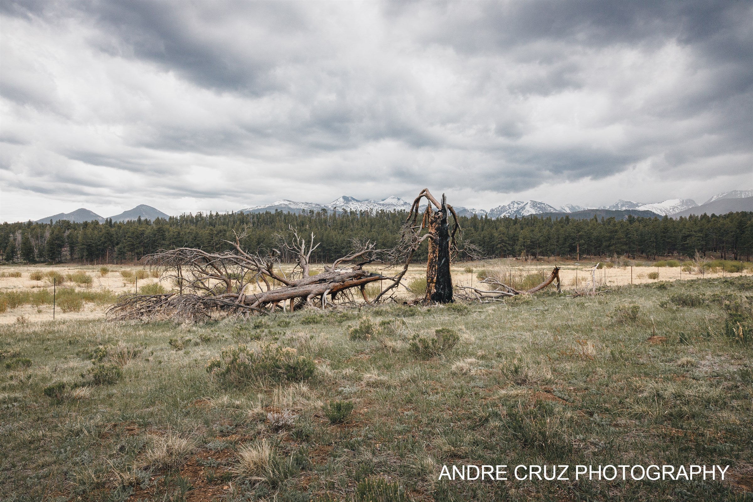 Fire Scarred VII — The Range Beyond