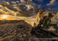A large driftwood root on the sand at sunrise under dramatic cloud, Florida coast