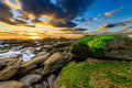 First Light I - Green Tidepool, green algae on coquina rock beside a tidepool, Florida coast