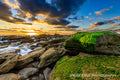 Bright green algae on coquina rock beside a tidepool at sunrise, Florida coast