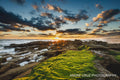 Moss-covered rock ledge above the surf at sunset, Florida coast