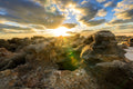 First Light II - Sunburst over coquina rock at dawn, Florida coast