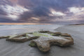 First Light VI - Tide Flat reflecting pastel dawn cloud, Florida coast