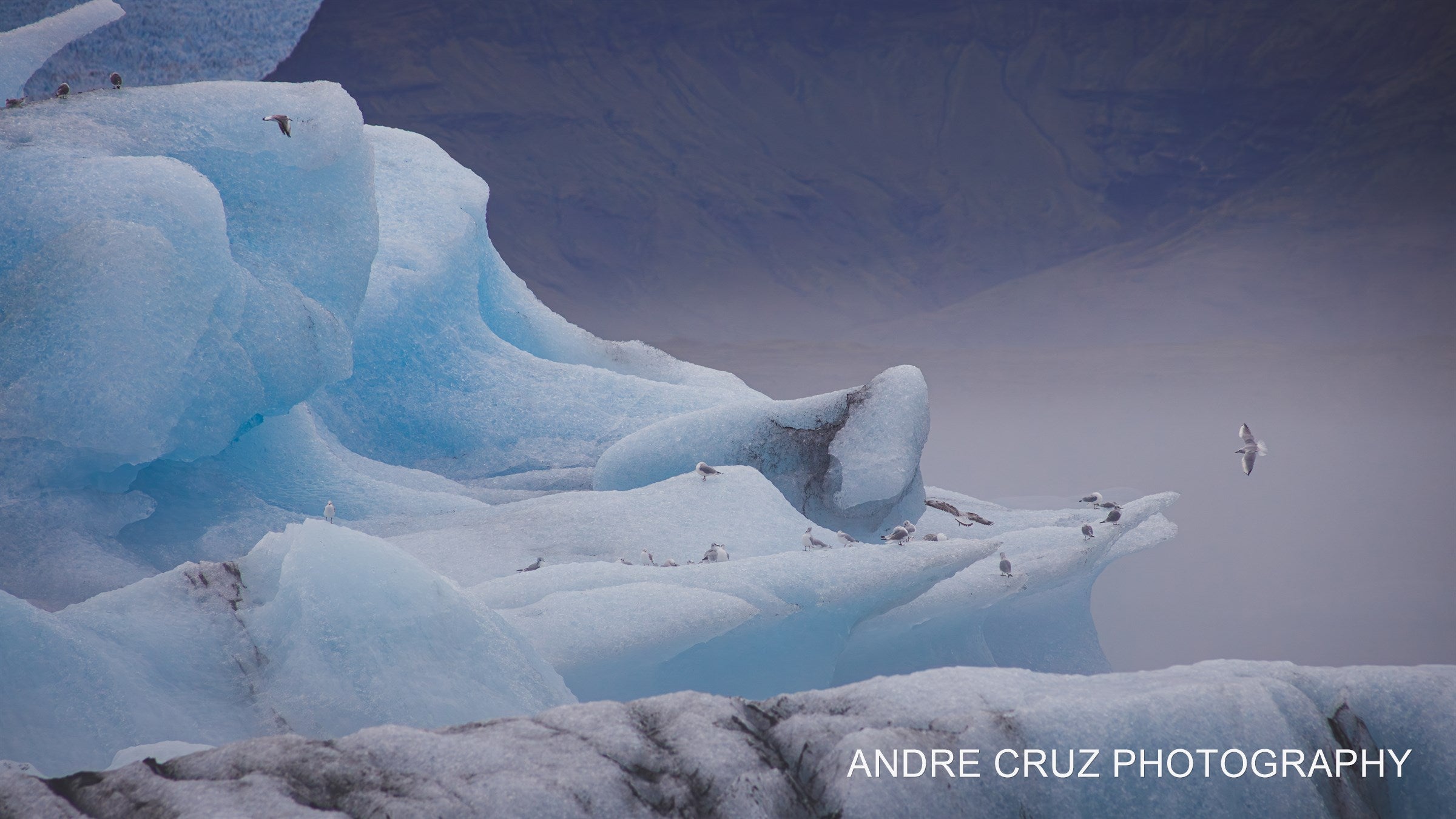 Translucent blue iceberg stranded on black sand in soft grey light, Iceland