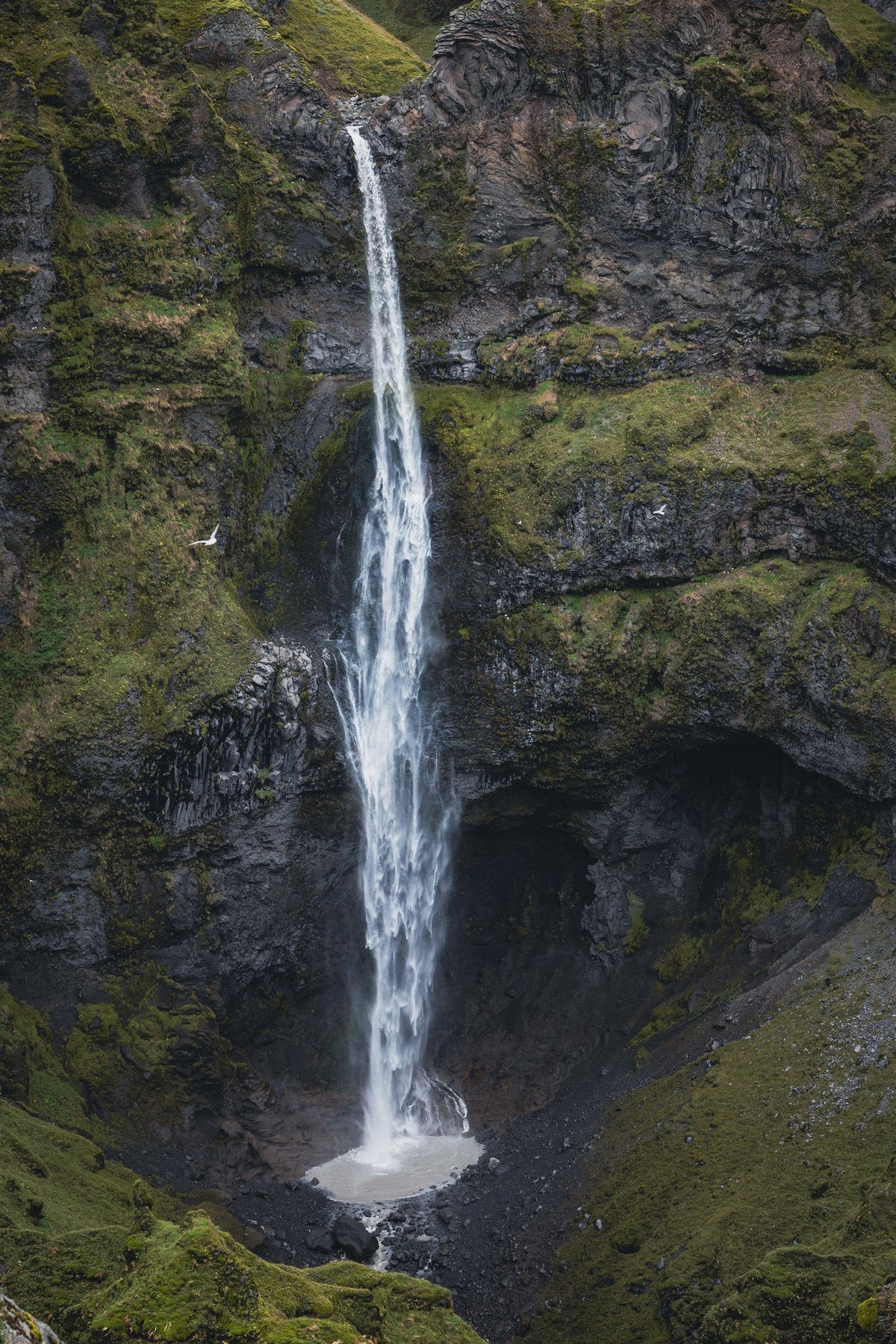 Iceland's South Coast II - Canyon Falls between moss-covered cliffs, Iceland