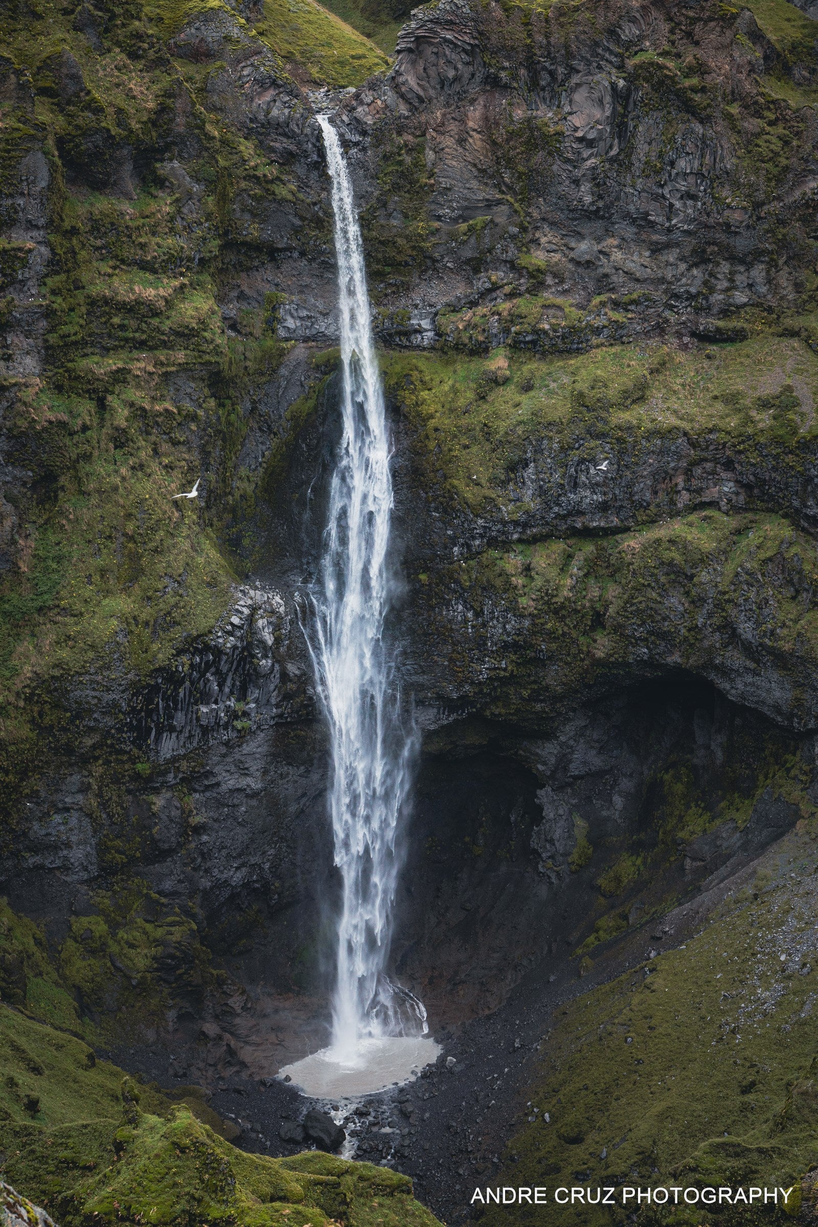 A tall thin waterfall dropping into a moss-covered basalt canyon in southern Iceland