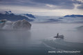 Icebergs drifting on the still water of a glacier lagoon under low cloud, Iceland