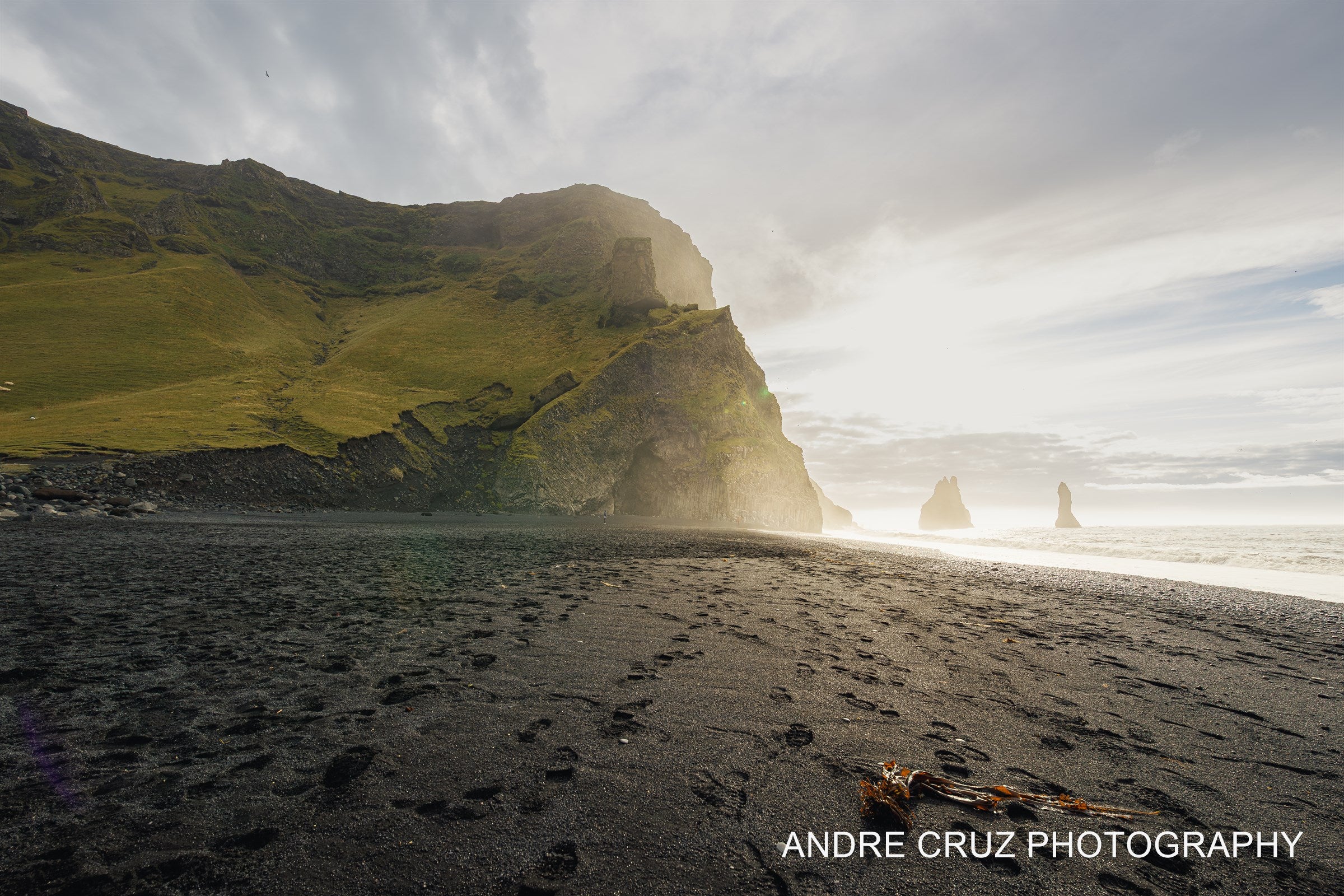 Low sun across the black sand at Reynisfjara, a green headland on the left and the Reynisdrangar sea stacks offshore