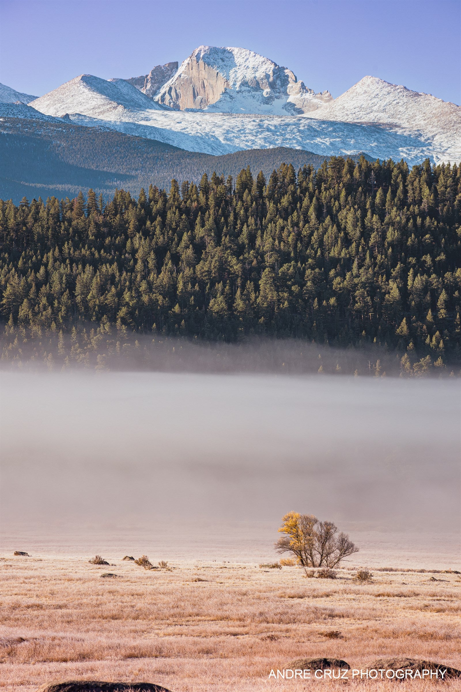 Longs Peak Above the Fog