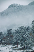 Mist over a snow-covered forested slope with a rocky peak above