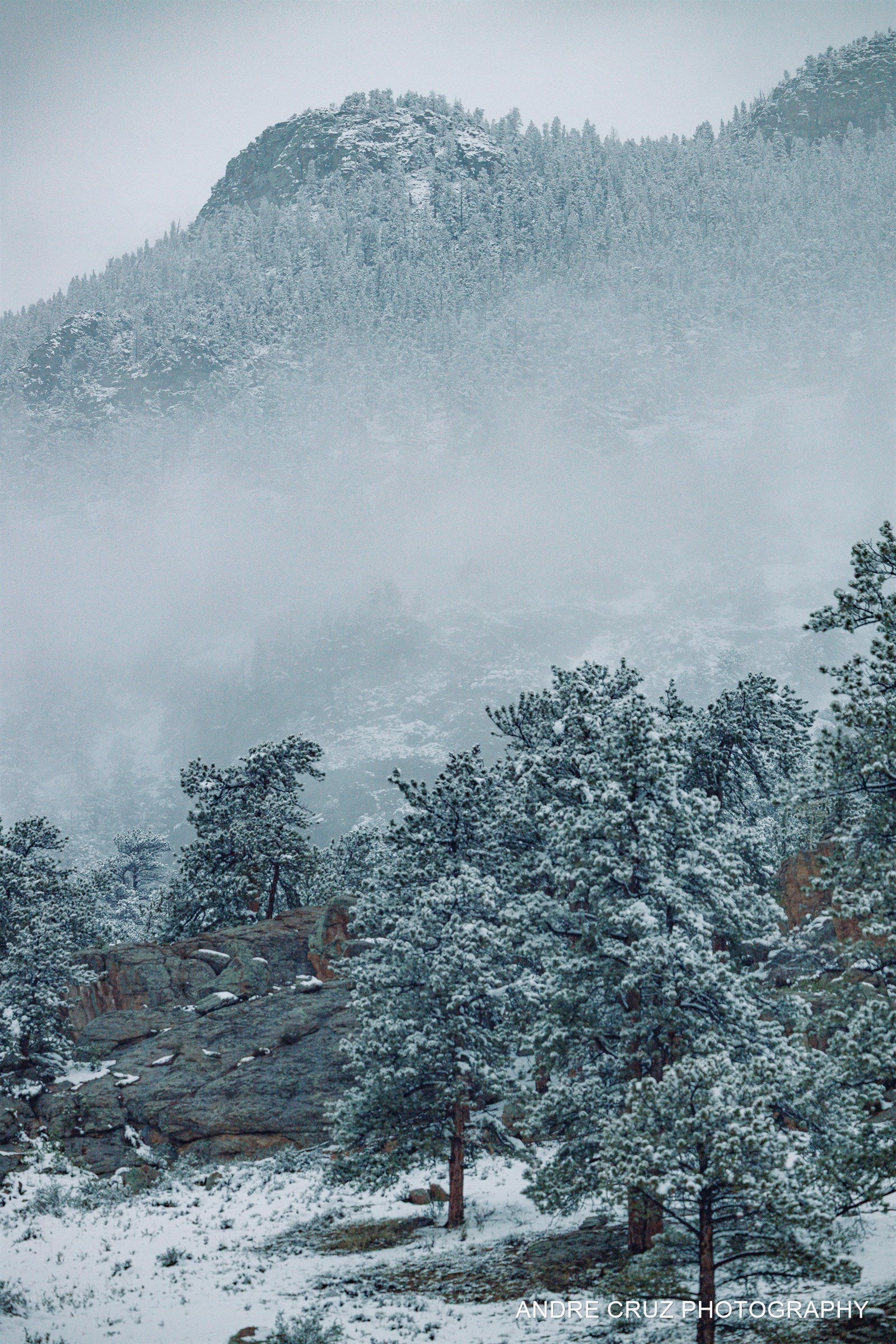 Mist over a snow-covered forested slope with a rocky peak above