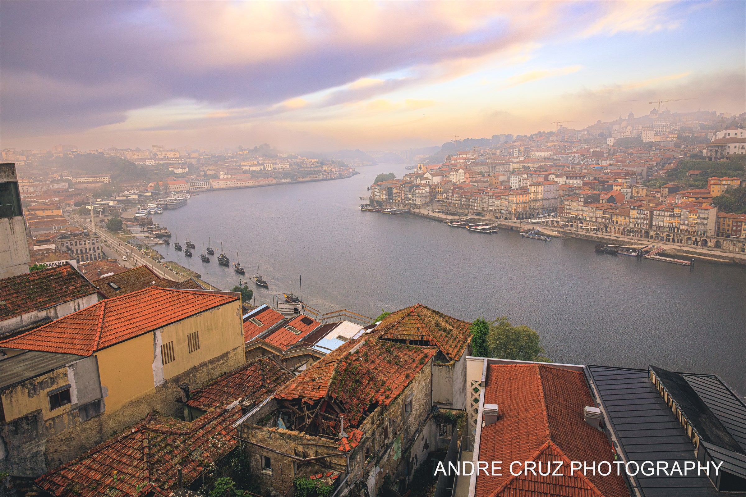 The Douro curving through Porto at dawn seen from above, terracotta rooftops in the foreground and the Ribeira along the far bank