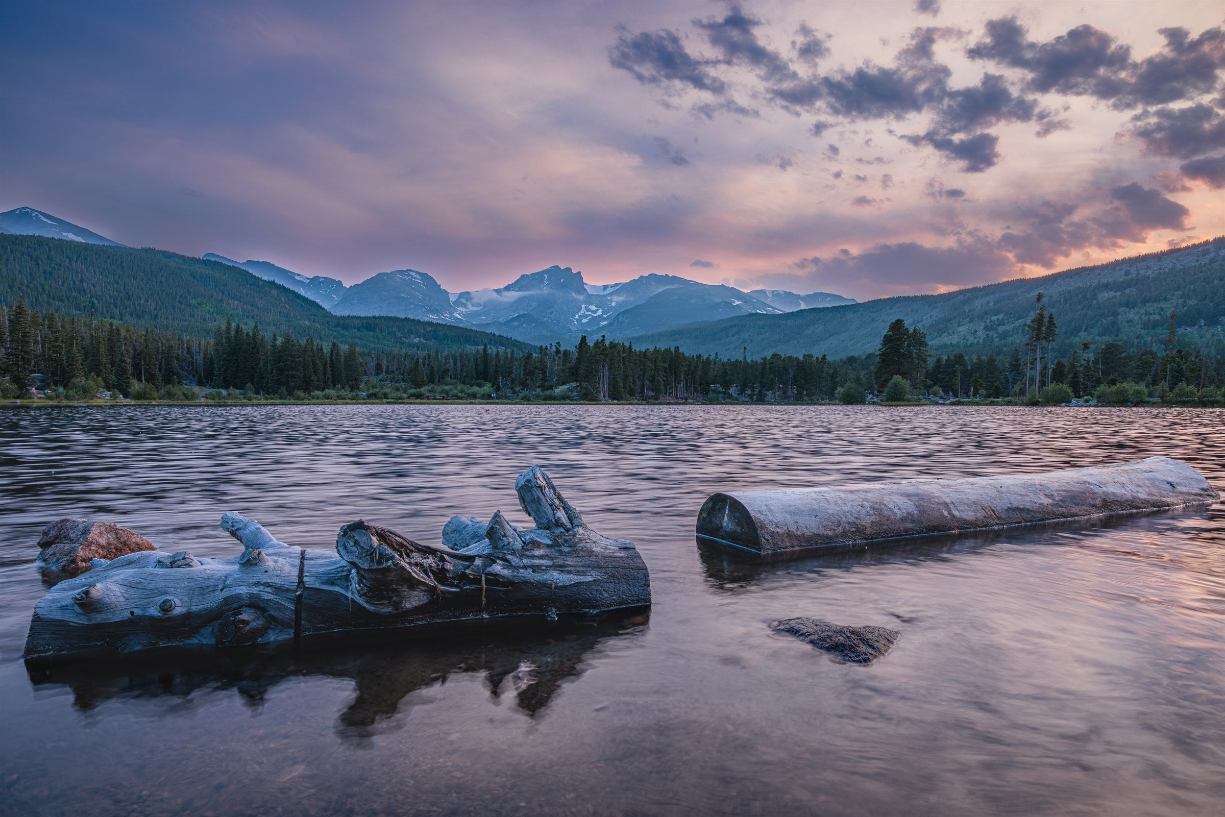 Driftwood logs in the shallows of Sprague Lake at sunset, the Continental Divide and a violet sky behind