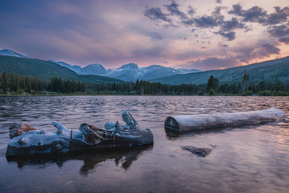 Sprague Lake Driftwood