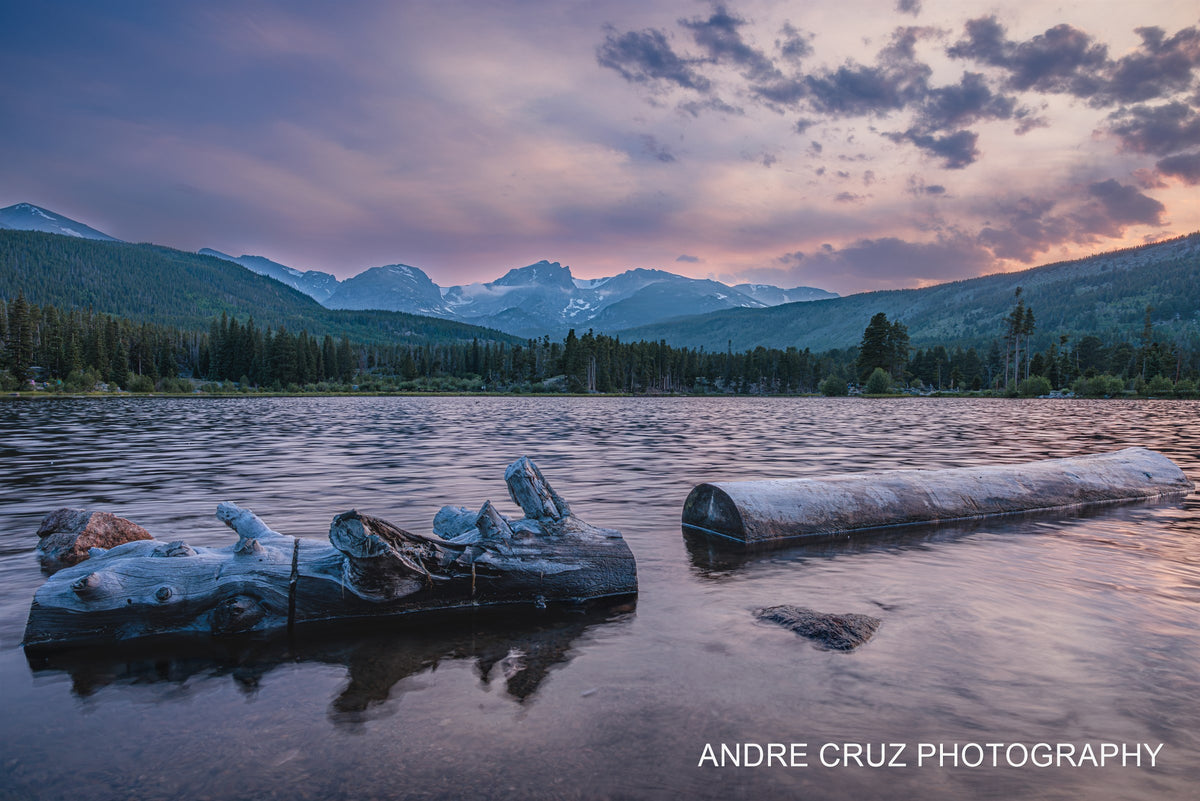 Sprague Lake Driftwood