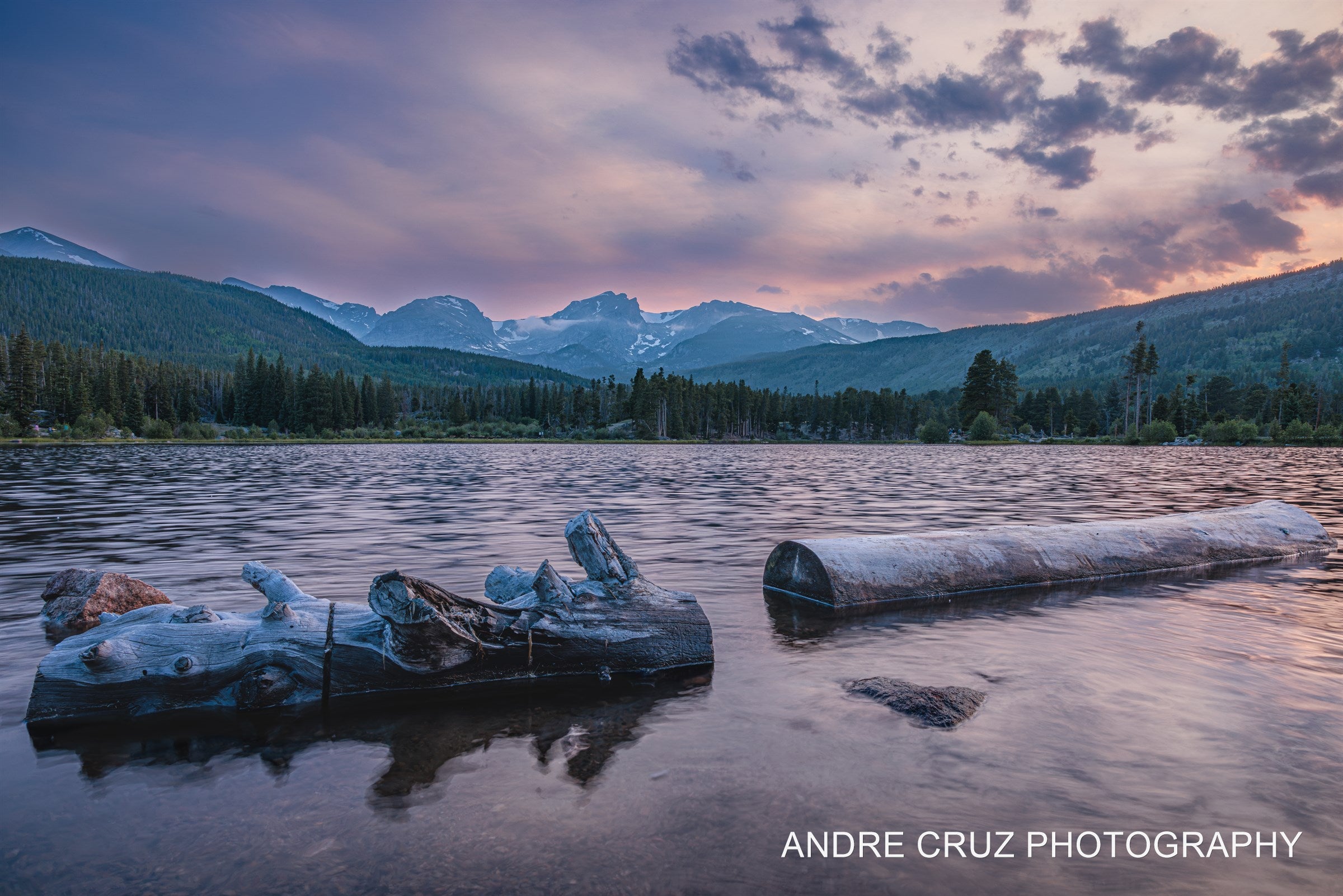 Driftwood logs in the shallows of Sprague Lake at sunset, the Continental Divide and a violet sky behind