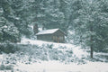 Winter Silence IV - The Cabin, a small cabin among snow-covered trees, Colorado