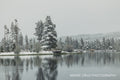 Snow-covered trees reflected in a still lake under overcast winter sky, Colorado