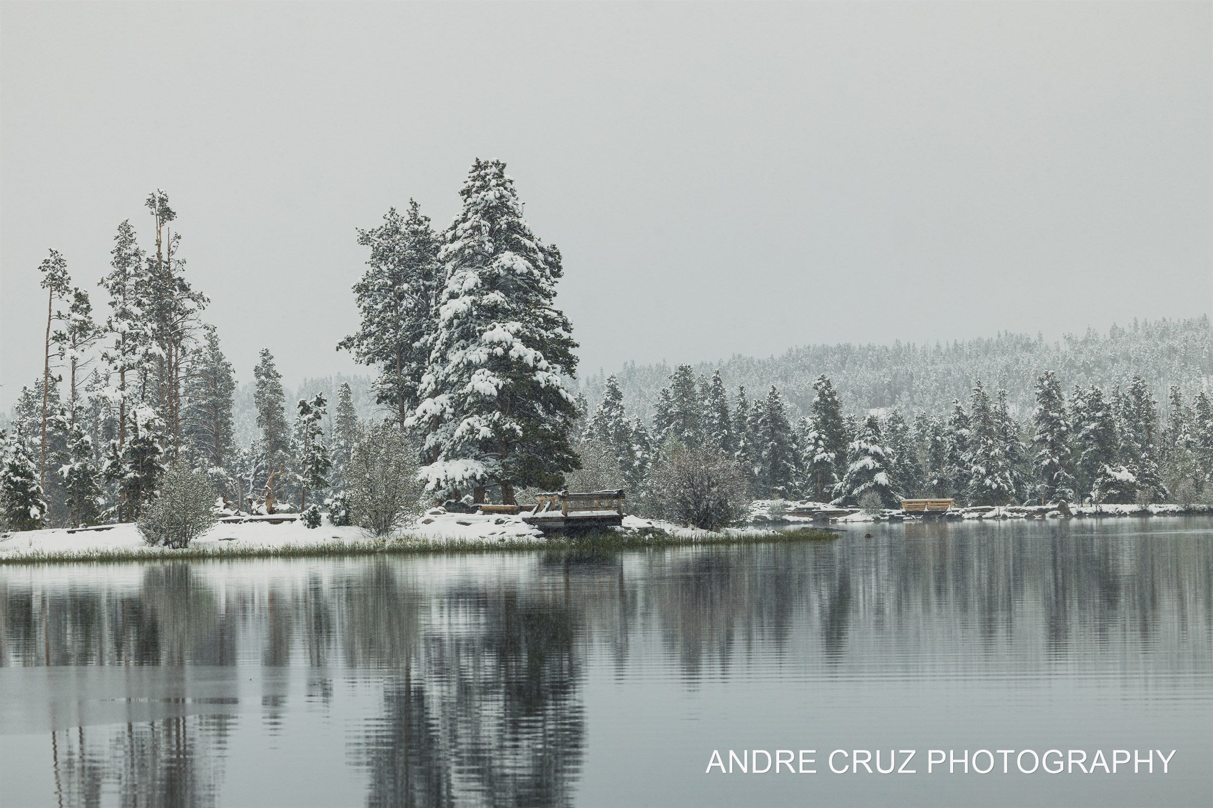 Snow-covered trees reflected in a still lake under overcast winter sky, Colorado