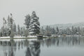 Winter Silence VI - Still Shoreline, snow-covered trees reflected in a still lake, Colorado