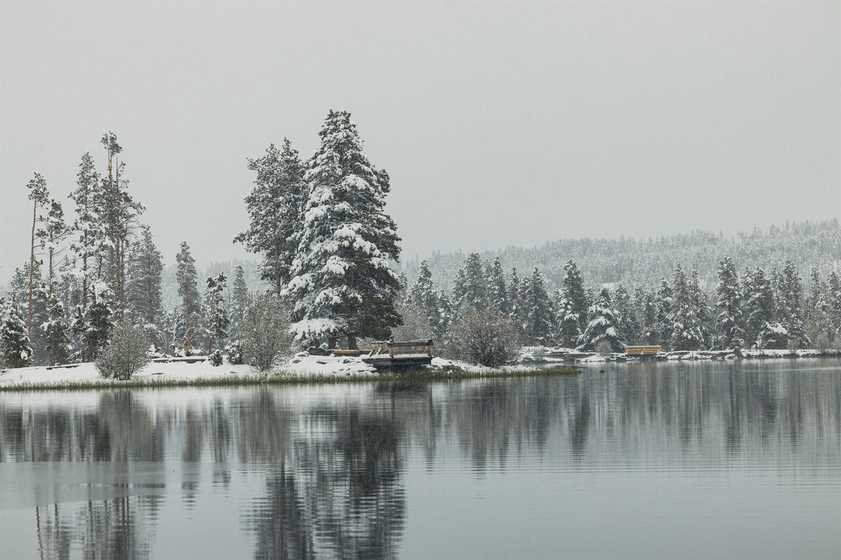 Winter Silence VI - Still Shoreline, snow-covered trees reflected in a still lake, Colorado